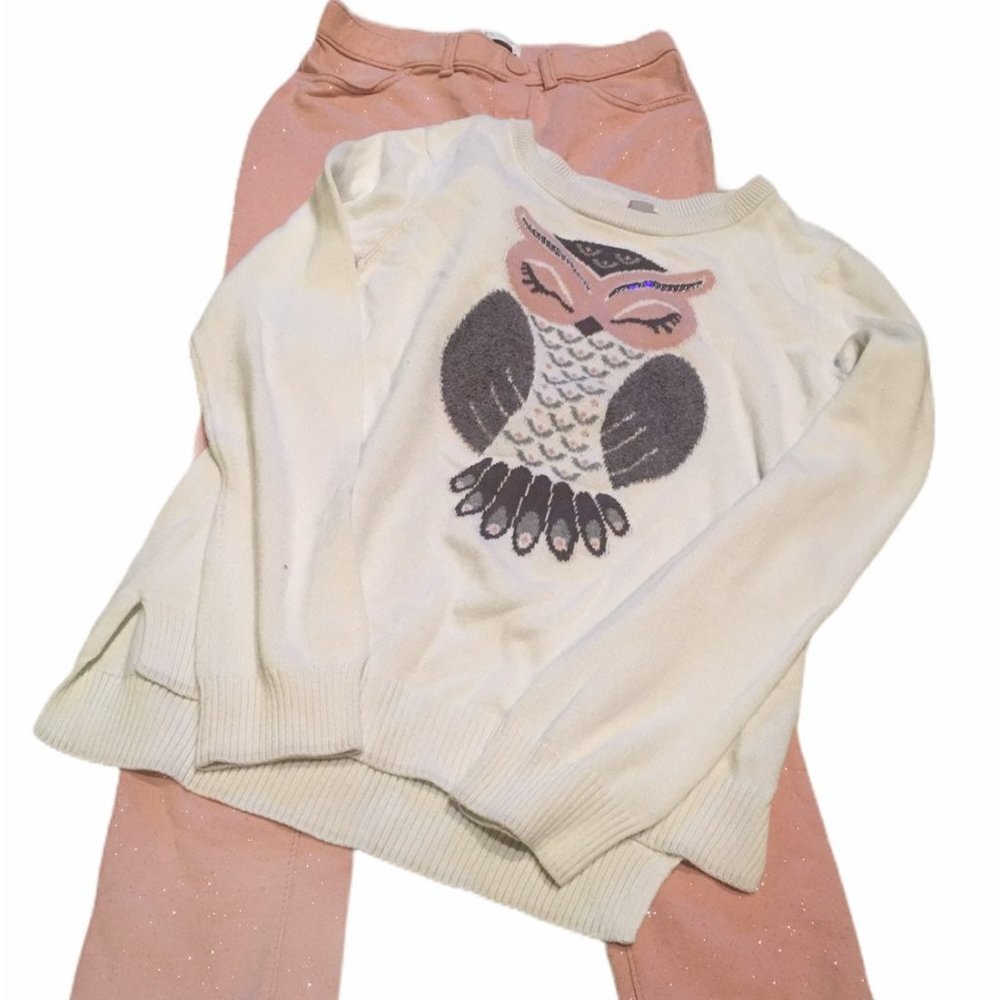 The childrens place girls outfit with Owl